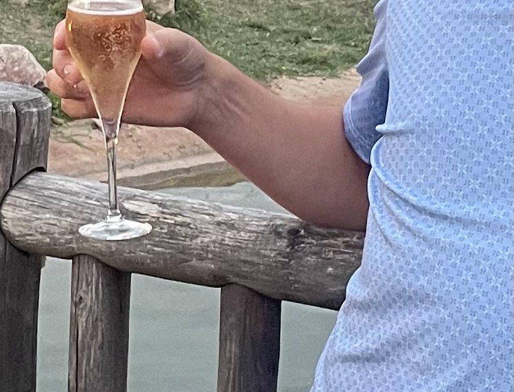 Profil de Liron, 48 ans, Célibataire Suisse à Koblenz
