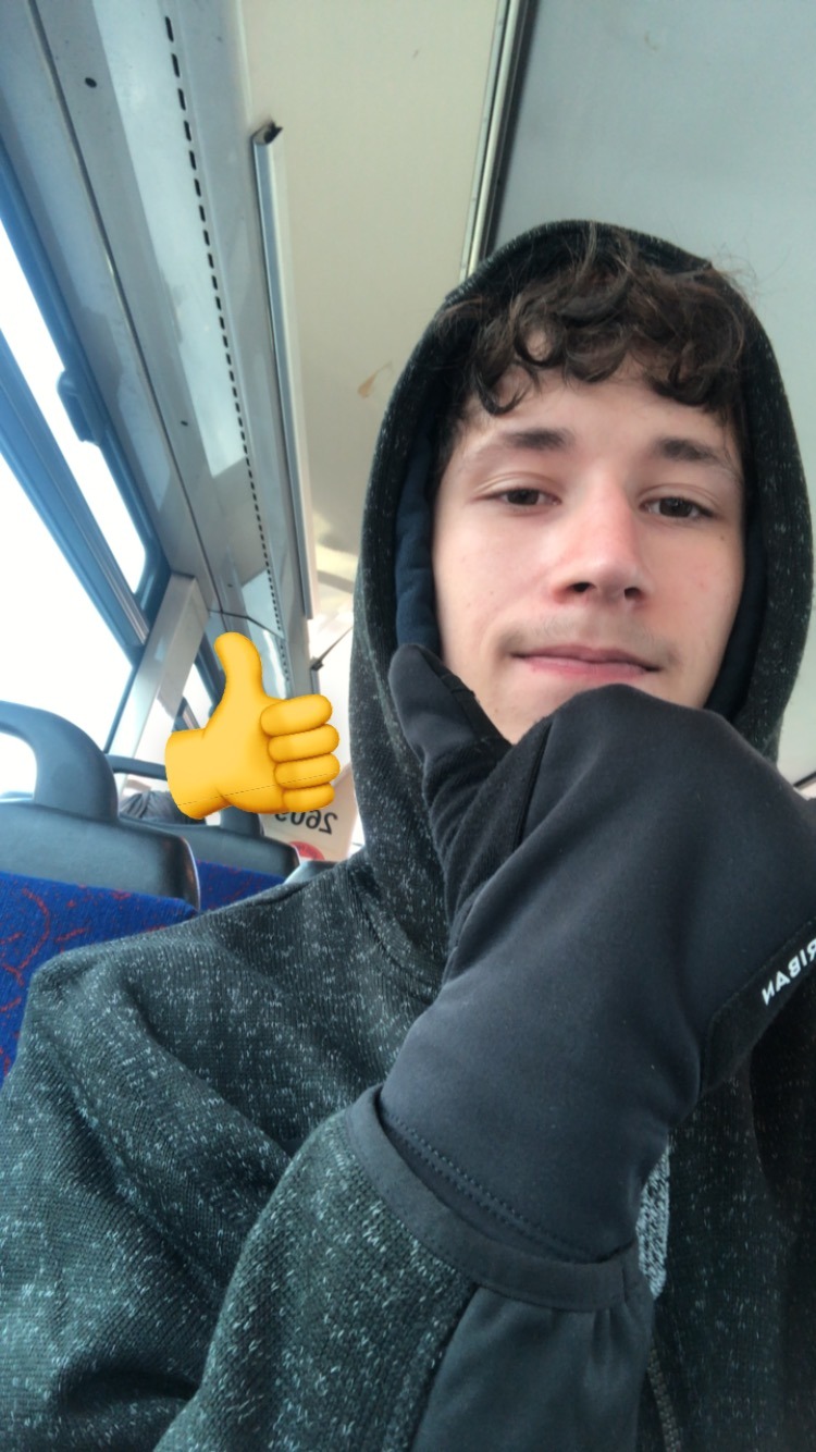 Profil de Yaniss, 19 ans, Célibataire Suisse à Axalp