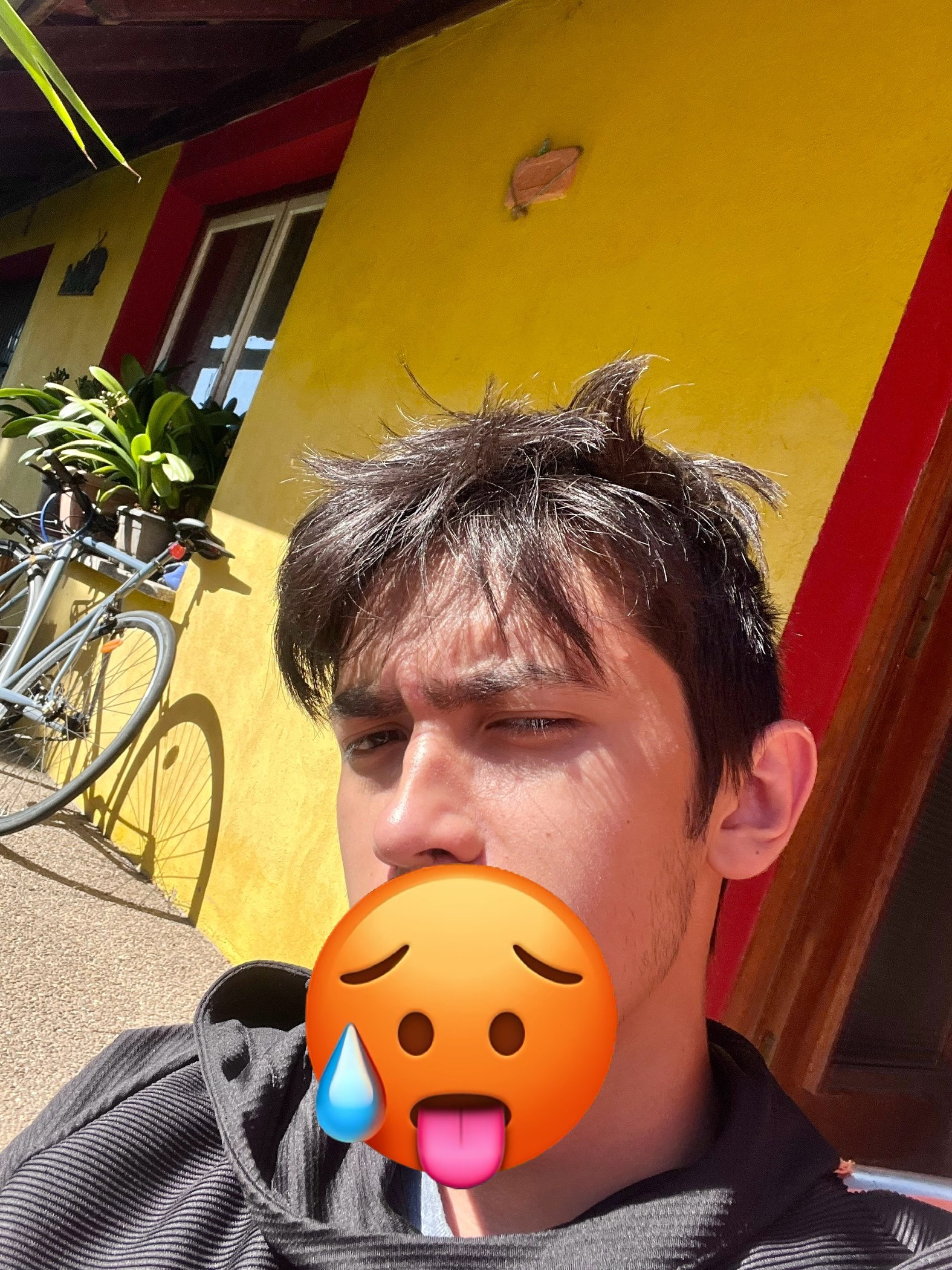 Profil de Wanis, 20 ans, Célibataire Suisse à S. Bernardino
