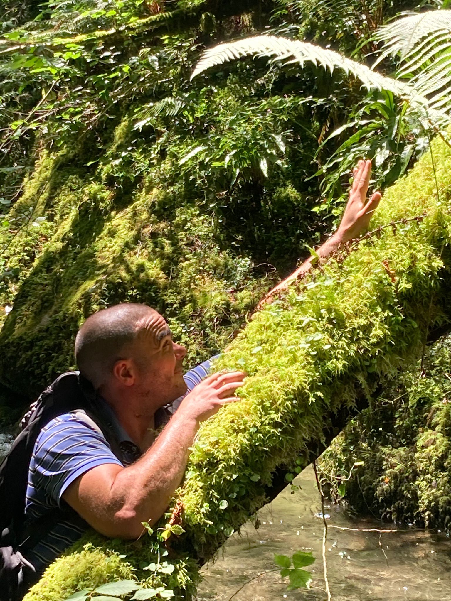 Profil de Yvonig, 41 ans, Célibataire Suisse à Fionnay